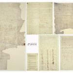 Treaty of Waitangi