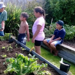  Kia Puawai Whānau Planting Day