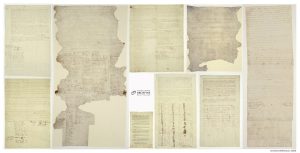 Treaty document